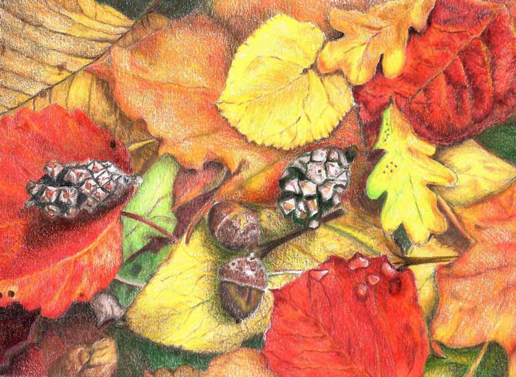 Color pencil drawing "Fallen" by Robin Lybeck