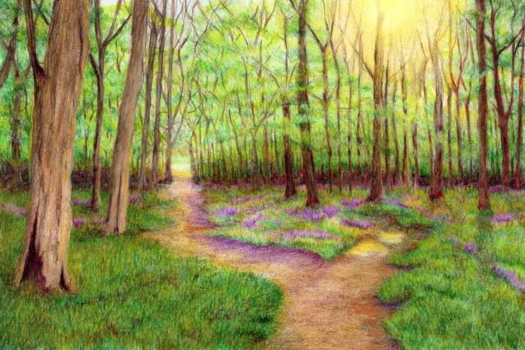 Encouraged by Scripture color pencil drawing by Robin Lybeck Crossroads