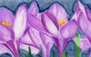 Encouraged by Scripture featured image Belief Blossoms