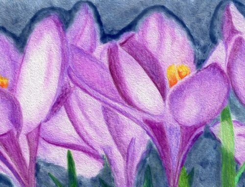 Belief Blossoms