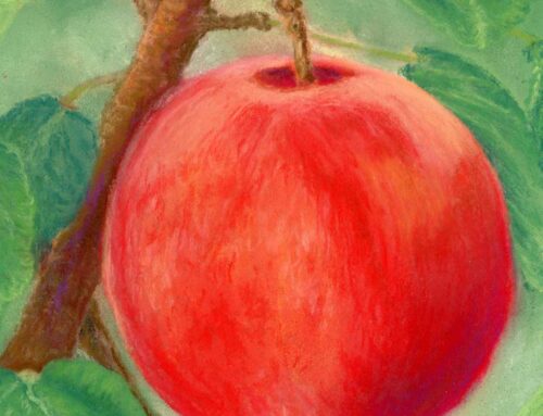 The Fruit of Trusting God