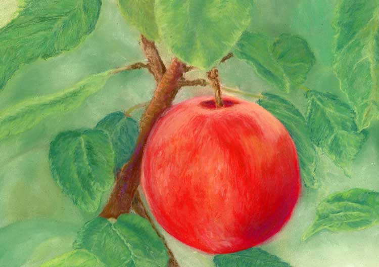 Encouraged by Scripture The Fruit of Trusting God original pastel