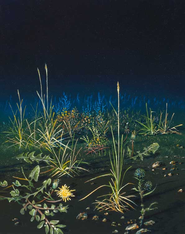 Encouraged by Scripture Weed in My Yard original oil Painting by Tom Lybeck
