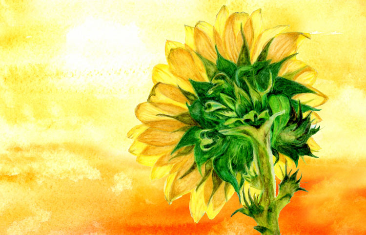 Encouraged by Scripture Tracking His Promise original pen color pencil and watercolor collage by Robin Lybeck